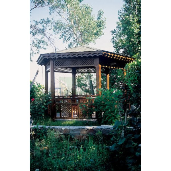 Çift Alınlık Kamelya